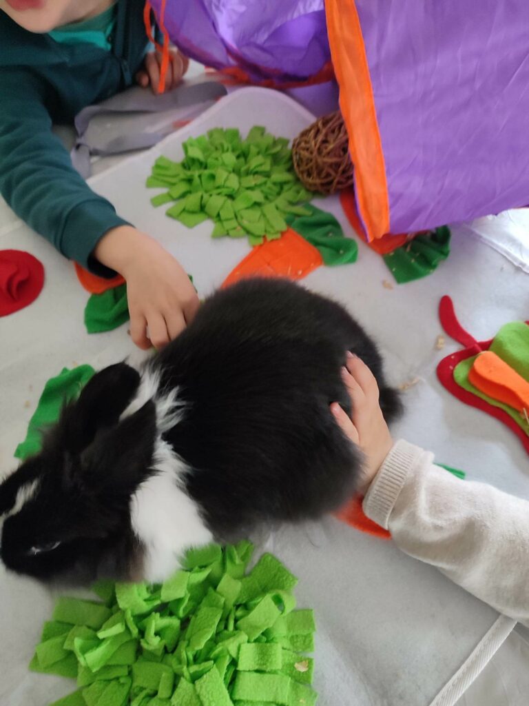 médiation animale avec un lapin et des enfants